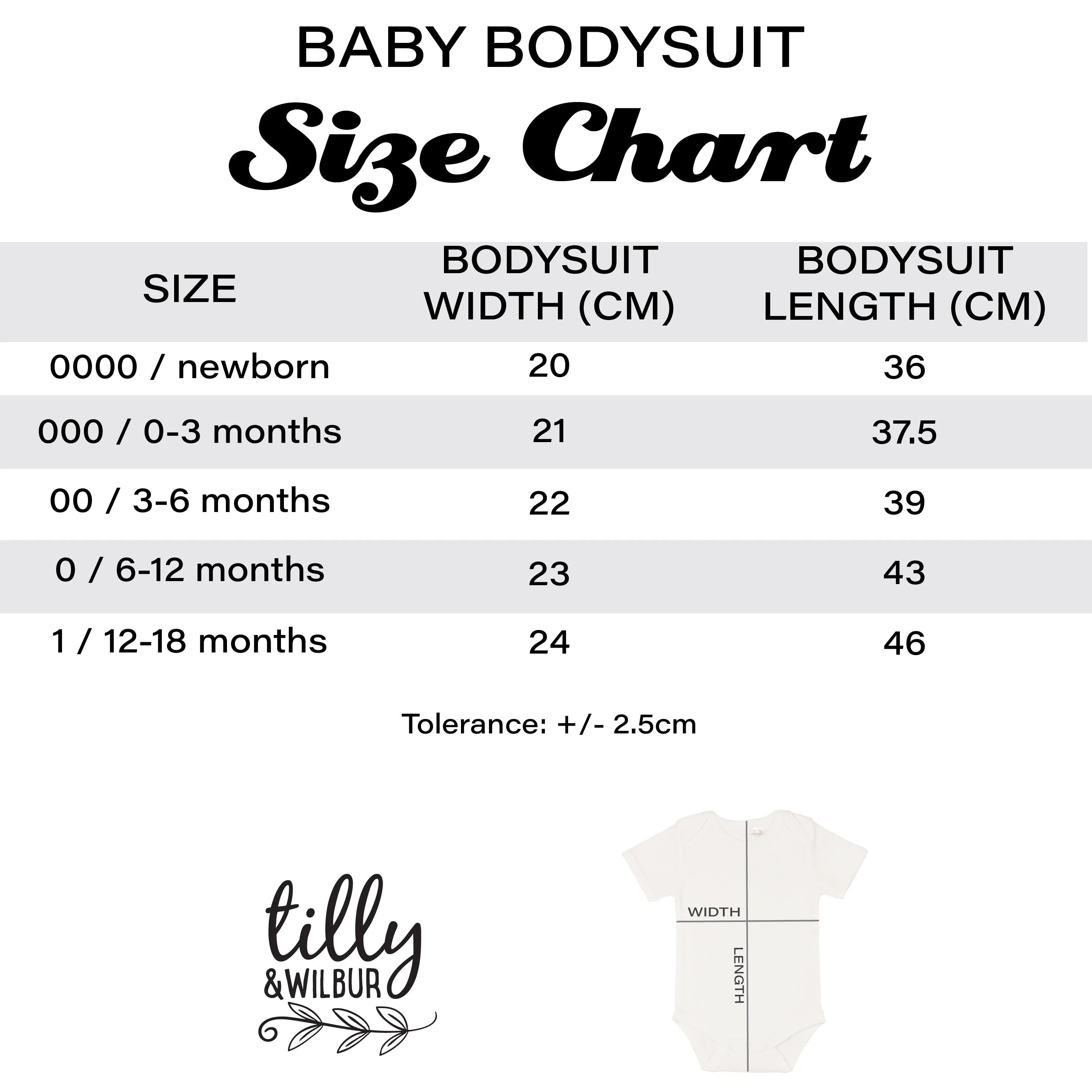 1st Birthday T-Shirt Or Bodysuit