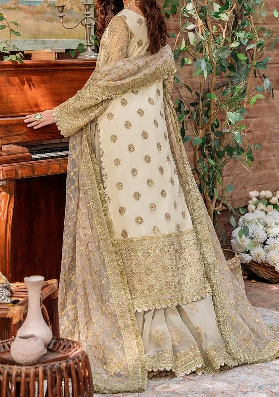 Akbar Aslam Mehrunisa Pakistani Luxury Net Dress