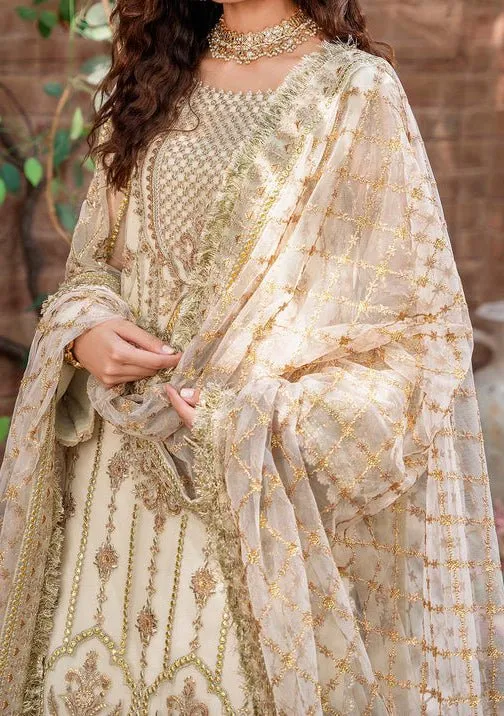 Akbar Aslam Mehrunisa Pakistani Luxury Net Dress