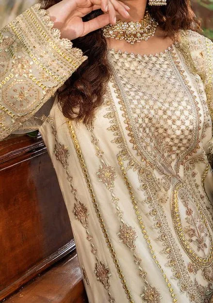 Akbar Aslam Mehrunisa Pakistani Luxury Net Dress