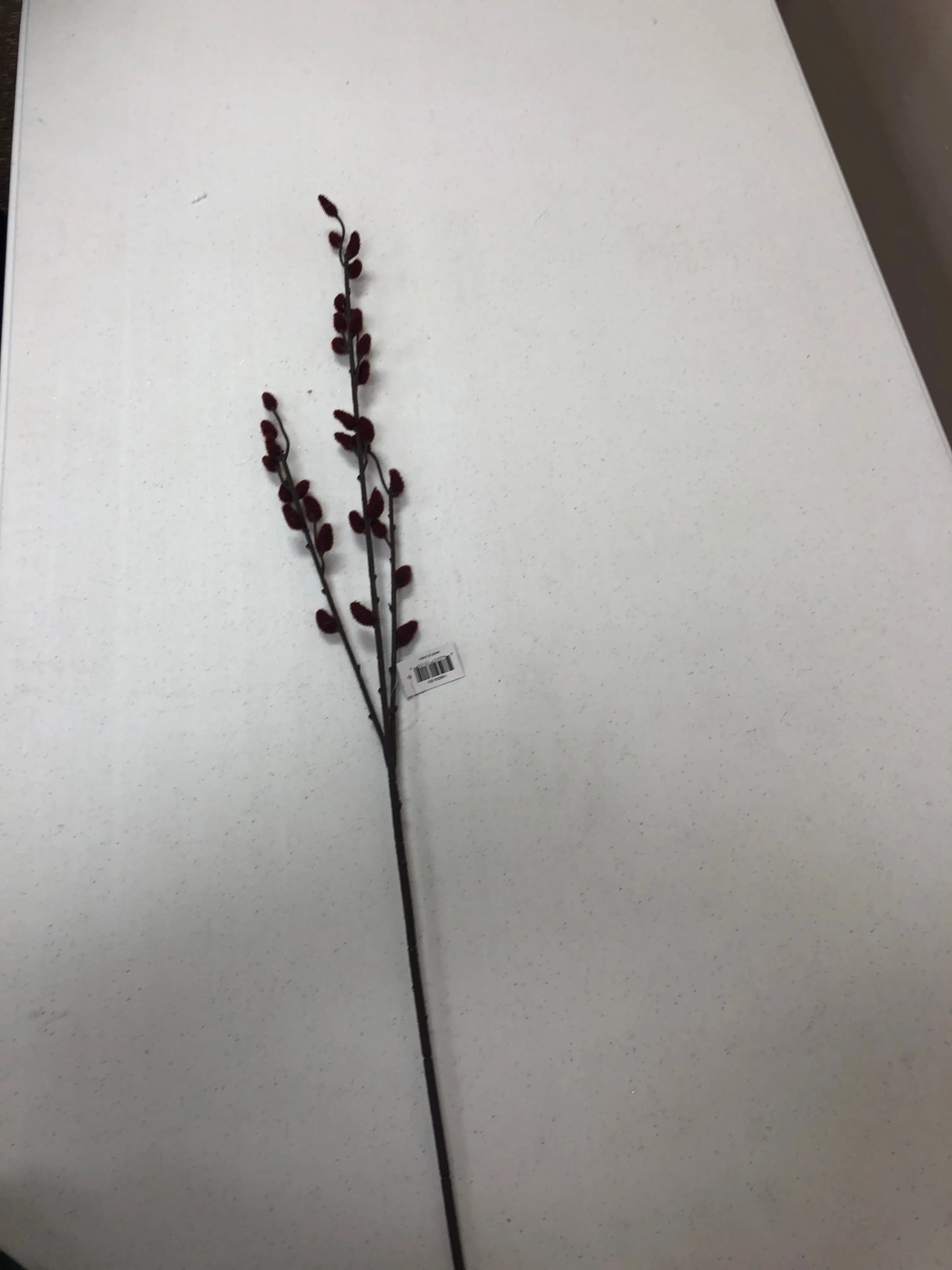 Burgundy Pussy Willow Stem