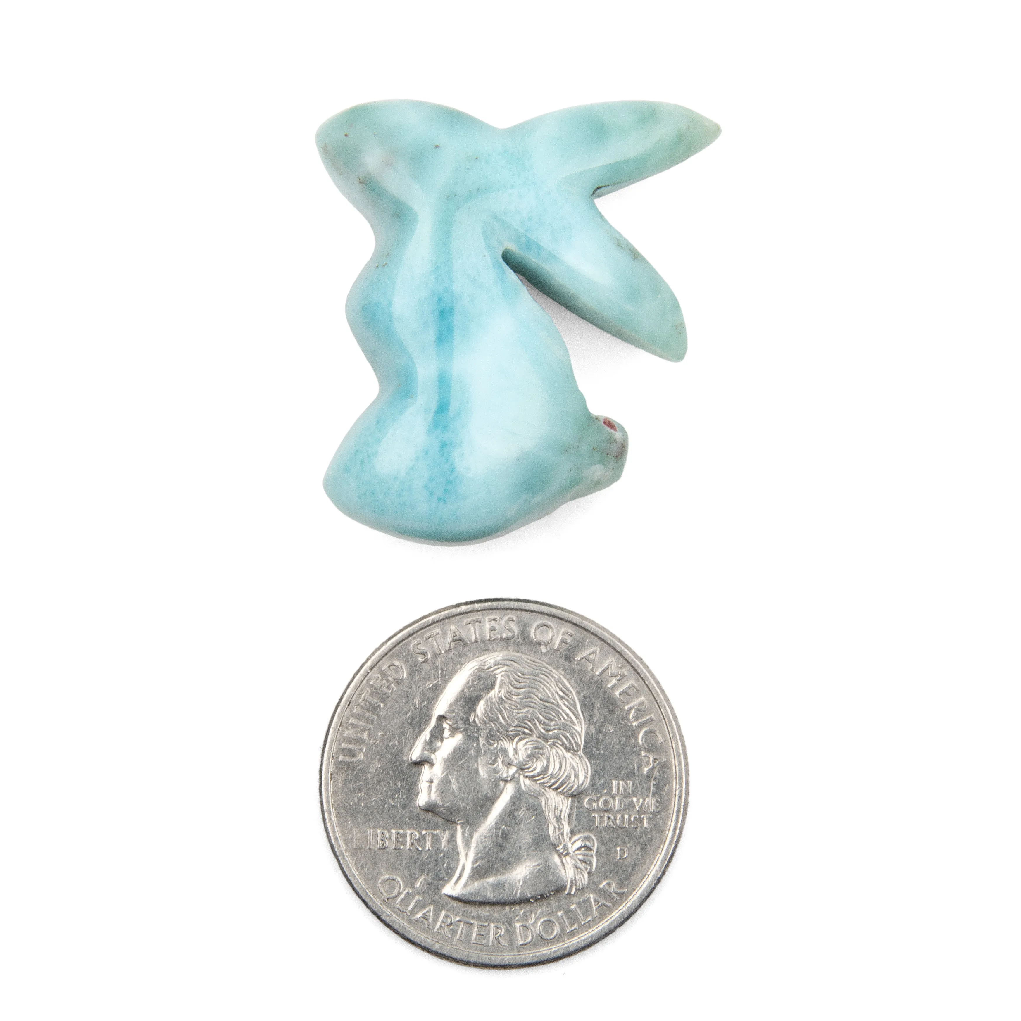 Larimar Bunny