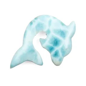 Larimar Dolphin