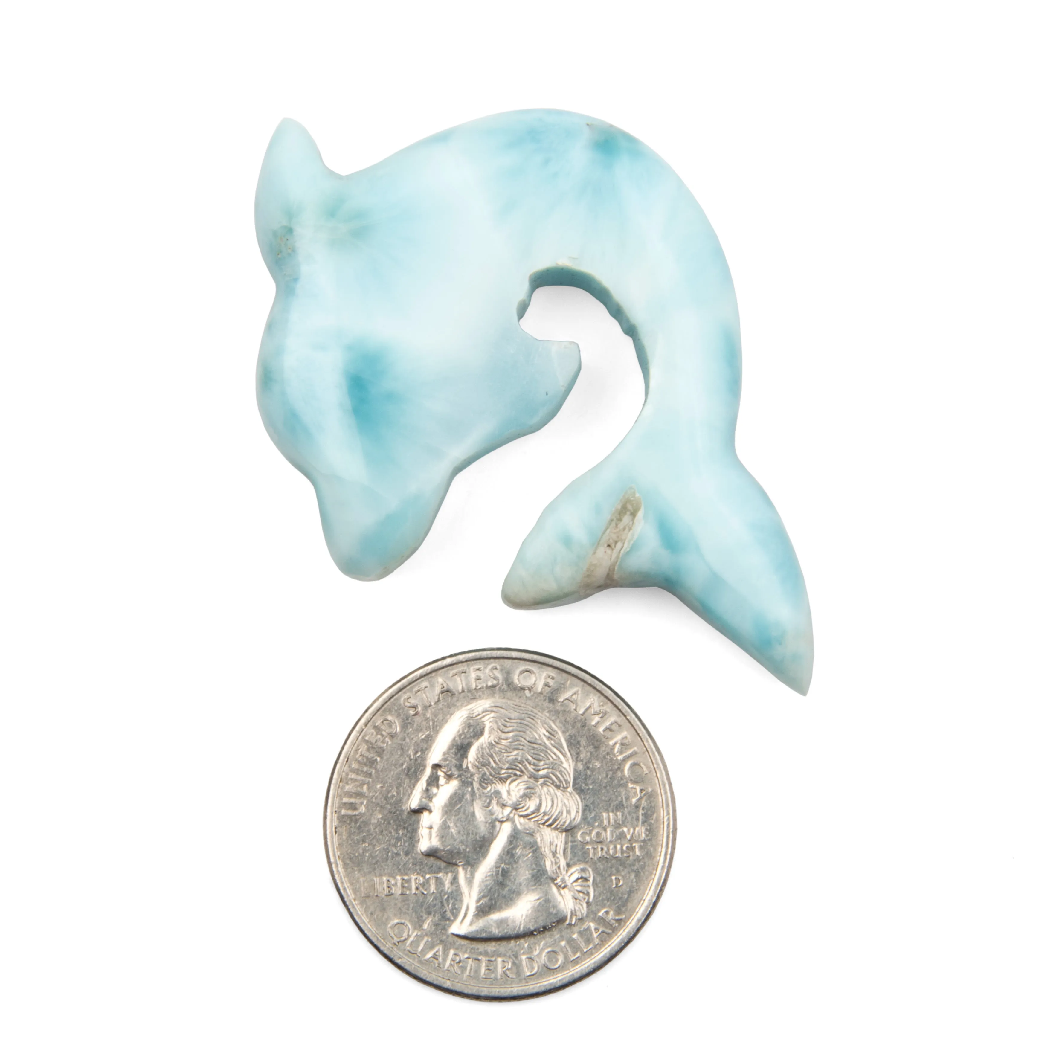 Larimar Dolphin