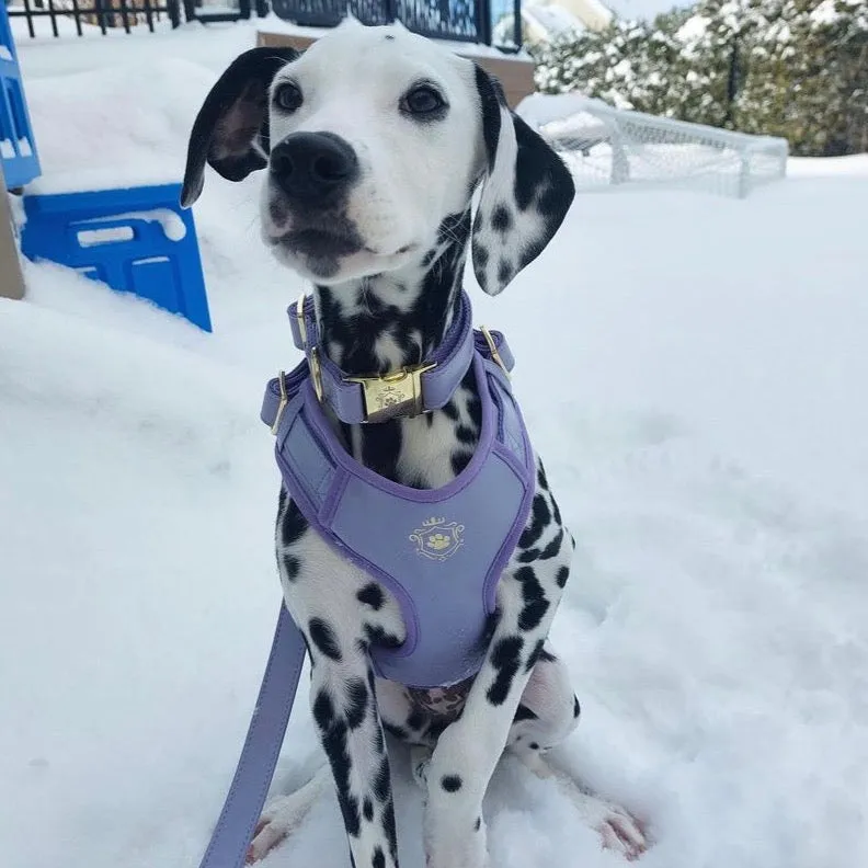 Purple Lilac Harness