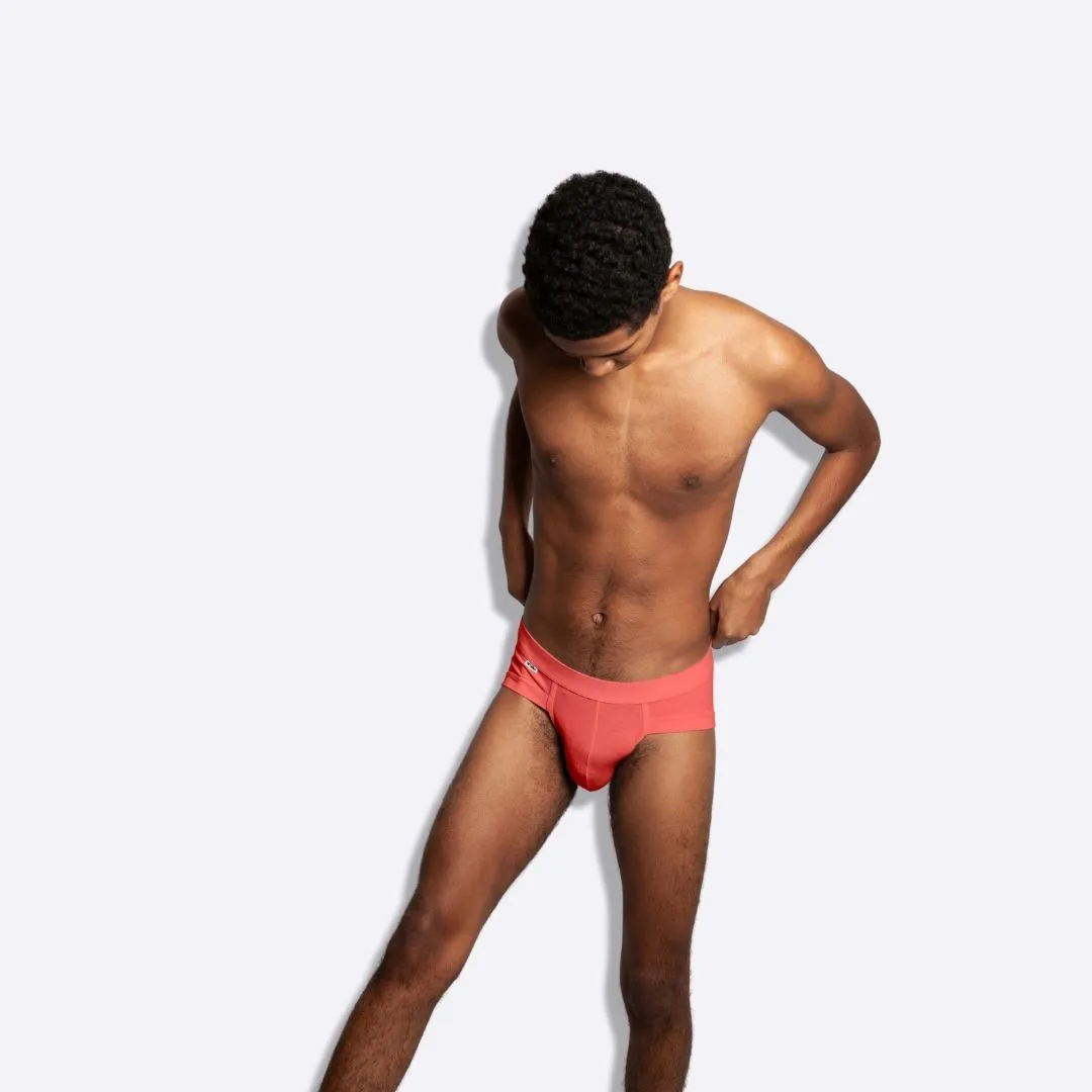 The Hot Coral Brief